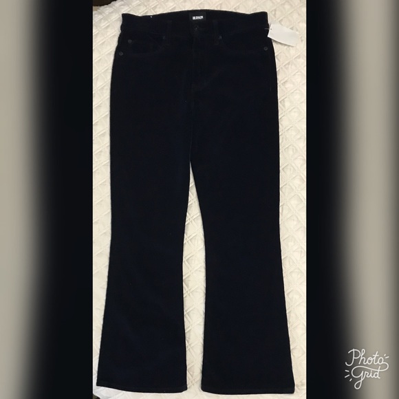 NEW Hudson Women’s Brix Velvet Cropped Pants - Picture 4 of 8